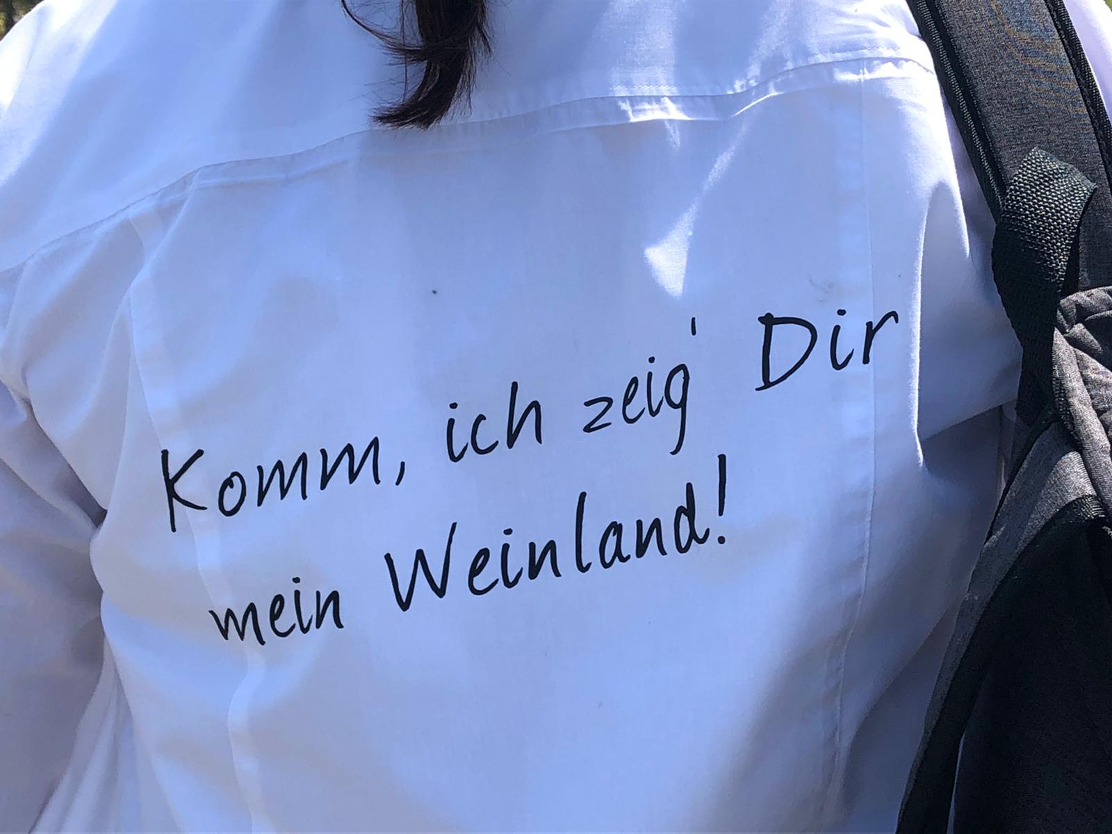 Komm, ich zeig‘ dir mein Weinland
